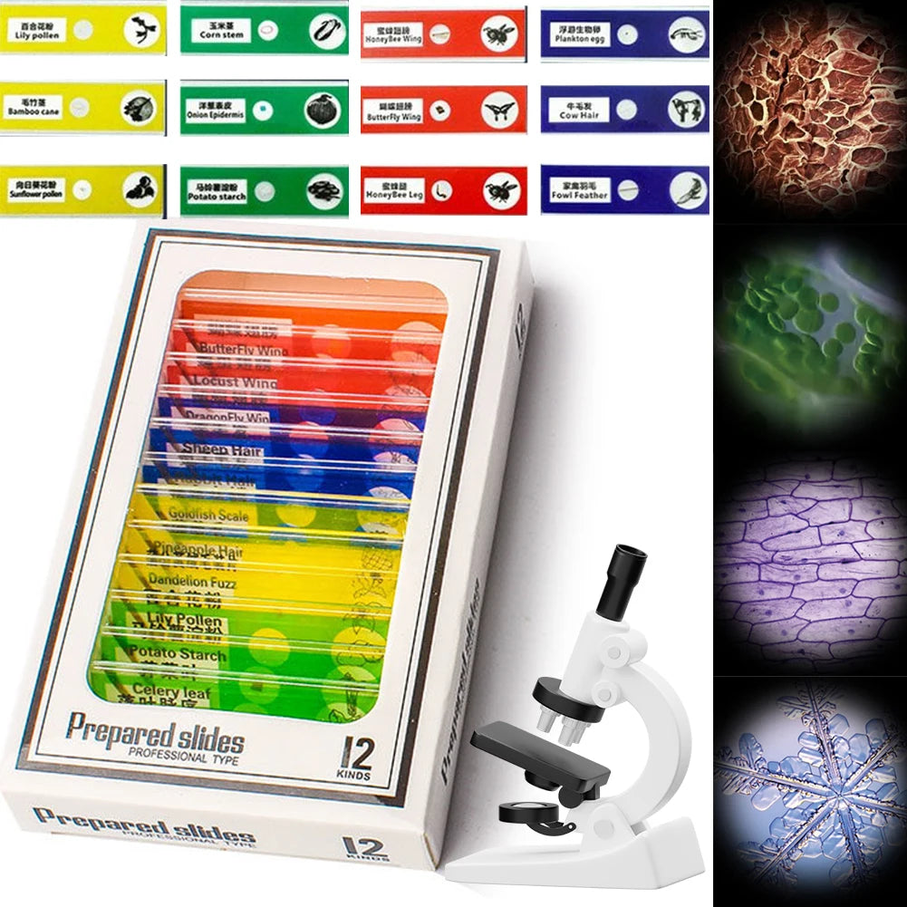 Curiosity Explorer | Microscope Specimen Slides for Kids with 200MP Quality ? Engaging STEM Learning Tool for Young Scientists 0