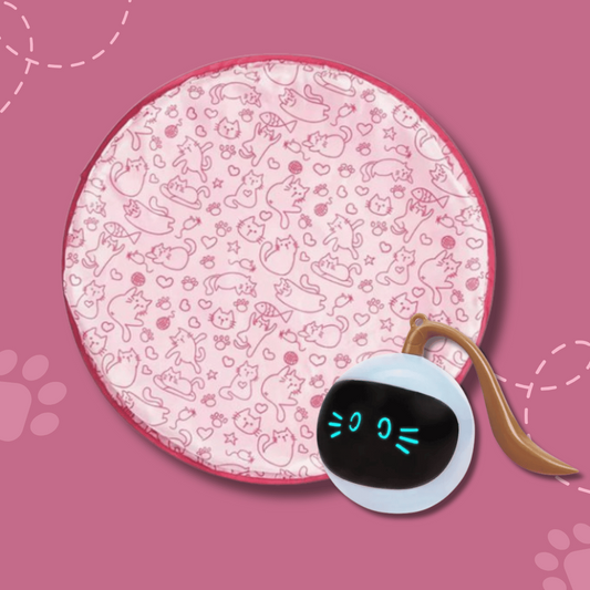 Feline Fun | Interactive Cat Hunting Toy with USB-C Rechargeable Ball for Engaging Playtime 0