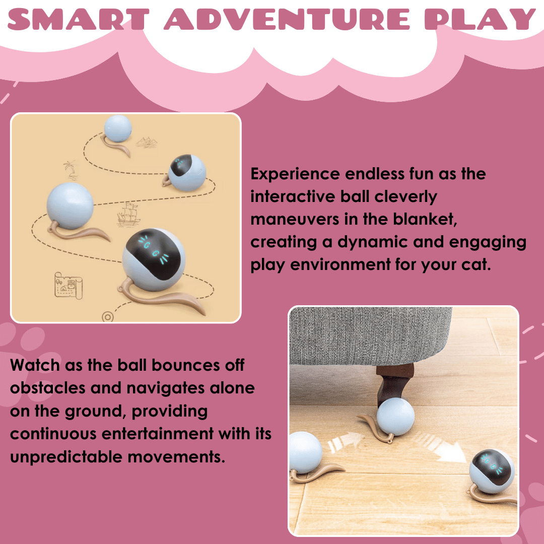 Feline Fun | Interactive Cat Hunting Toy with USB-C Rechargeable Ball for Engaging Playtime 2