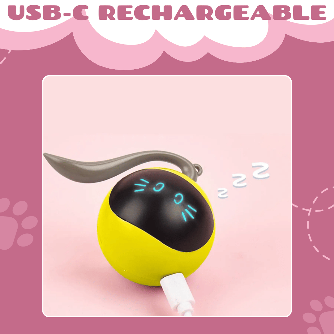 Feline Fun | Interactive Cat Hunting Toy with USB-C Rechargeable Ball for Engaging Playtime 3