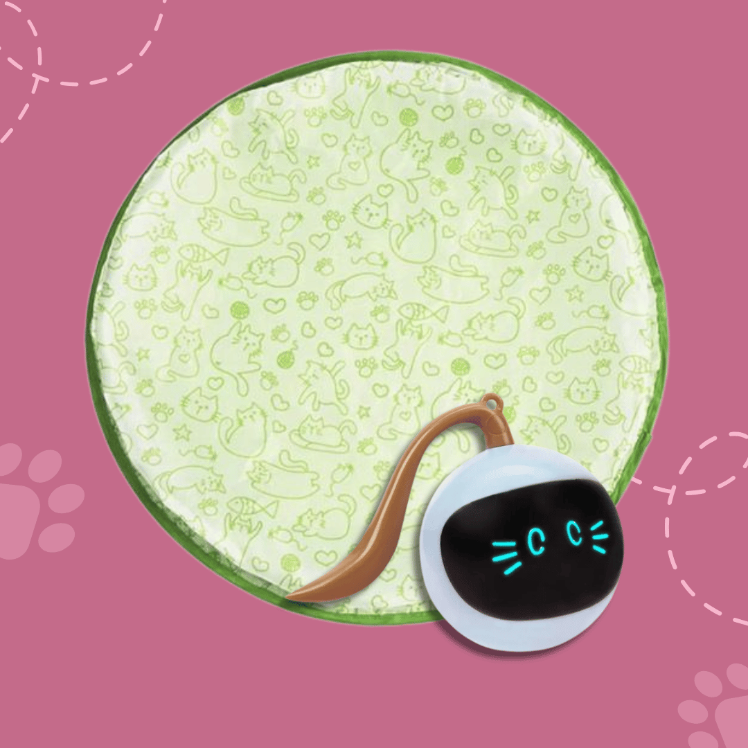 Feline Fun | Interactive Cat Hunting Toy with USB-C Rechargeable Ball for Engaging Playtime 5